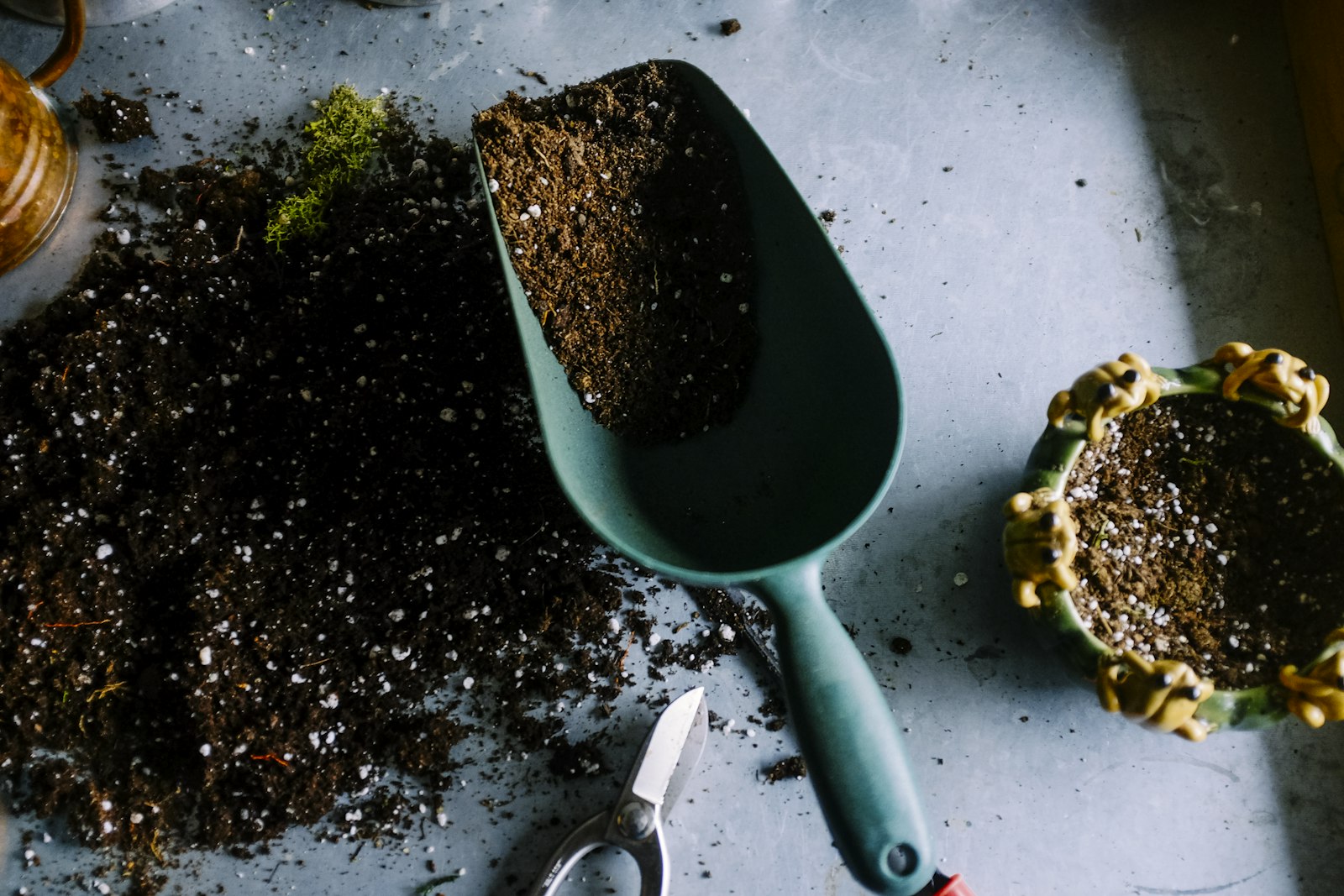 Patch UK gardening companion app