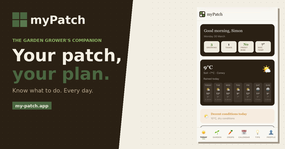 mypatch og image